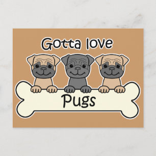 Drie pugs briefkaart