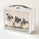 Drie pugs in rij (Voorkant)