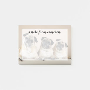 Drie pugs in rij post-it® notes