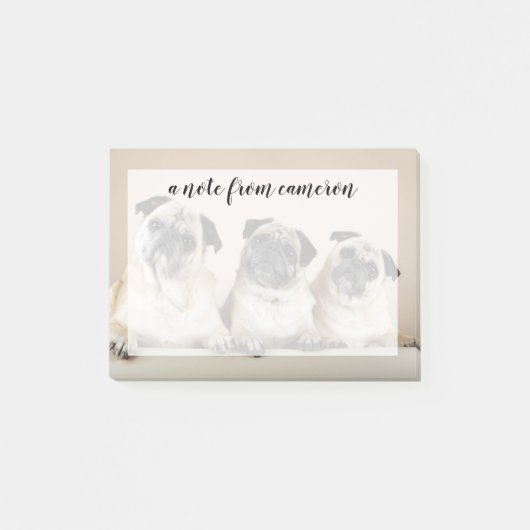 Drie pugs in rij post-it® notes (Voorkant)