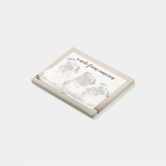 Drie pugs in rij post-it® notes (Schuin)