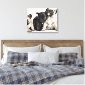 Drie Puppies Canvas Afdruk (Insitu (Slaapkamer))