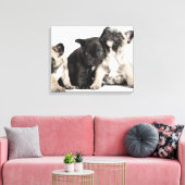 Drie Puppies Canvas Afdruk (Insitu (Woonkamer))