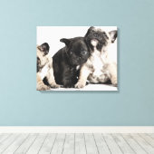Drie Puppies Canvas Afdruk (Insitu (Houten vloer))