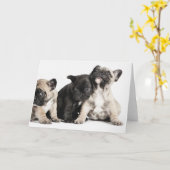 Drie Puppies Kaart (Gele Bloem)