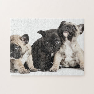 Drie Puppies Legpuzzel