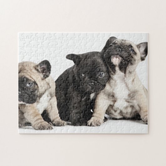 Drie Puppies Legpuzzel (Horizontaal)