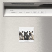 Drie Puppies met stamcellen Magneet (Insitu (Vaatwasser))