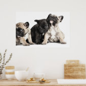 Drie Puppies Poster (Keuken)