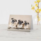 Drie pups in een rij kaart (Gele Bloem)