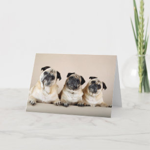 Drie pups in een rij kaart