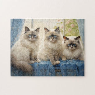 Drie Ragdoll katten Legpuzzel