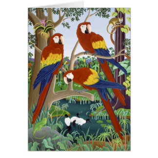 Drie Rode Macaws
