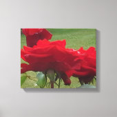 DRIE ROSES CANVAS AFDRUK (Voorkant)