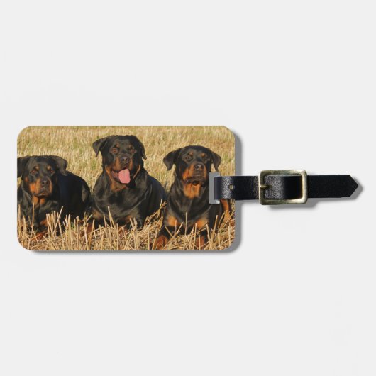 Drie rottweiler-honden - Doos met rotaties Bagagelabel (Voorkant horizontaal)
