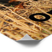 Drie rottweiler-honden - Doos met rotaties Poster (Hoek)