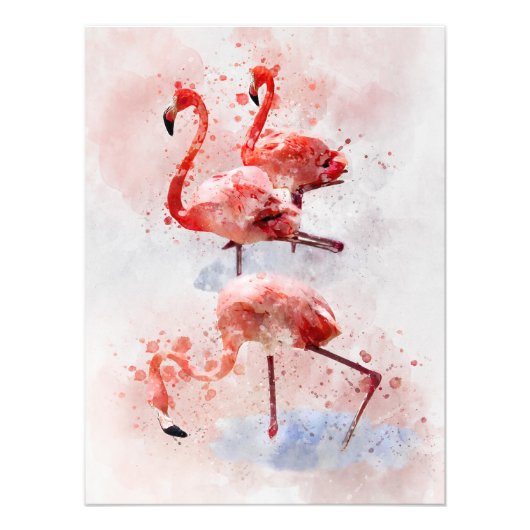 Drie roze flamingo's Waterverf Foto Afdruk (Voorkant)