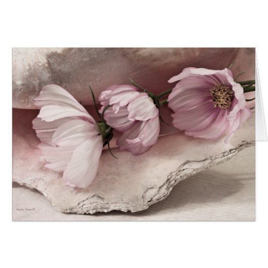 Drie roze kosmos-kaart (Voorkant Horizontaal)