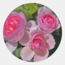 Drie Roze Rozen Ronde Sticker