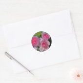 Drie Roze Rozen Ronde Sticker (Envelop)