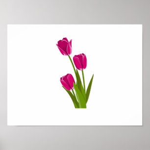 Drie roze tulpen naar links poster