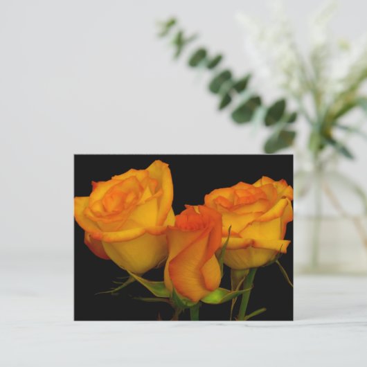 Drie Rozen Briefkaart (Staand voorkant)