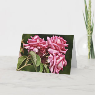 Drie Rozen in Roze Kaart