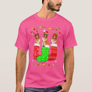 Drie ruwe collie-hond in kerstSokken die overeenko T-shirt