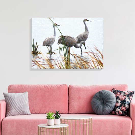 Drie Sandhill kranen Canvas Afdruk (Insitu (Woonkamer))