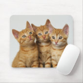 Drie schattige gemene kittens naast elkaar muismat (Met muis)