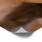 Drie schattige merkwaardige kittens poster (Hoek)