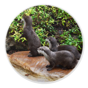 Drie Schattige otters, Keramische Knop