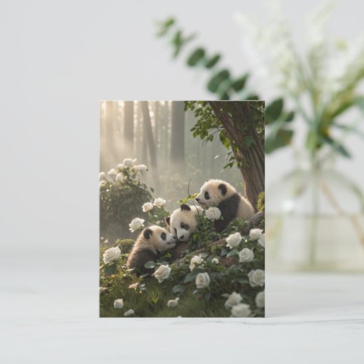Drie Schattigee panda's Briefkaart (Staand voorkant)
