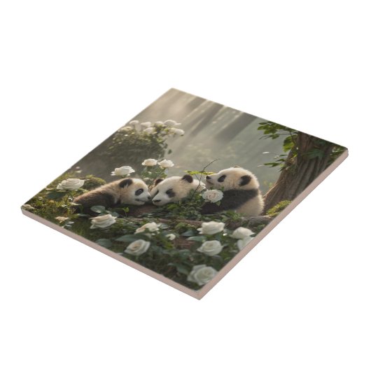 Drie Schattigee panda's Tegeltje (Zijkant)