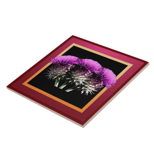 Drie Schotse Thistles Tegeltje (Zijkant)