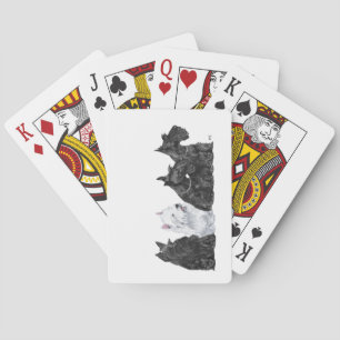 Drie Scotties & een Westie Pokerkaarten