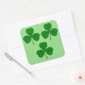 Drie Shamrocks Vierkante Sticker (Envelop)