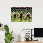 Drie Shetland pony hengsten in een Poster (Thuiskantoor)