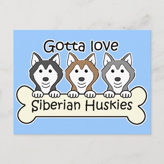 Drie Siberische Huskies Briefkaart (Voorkant)