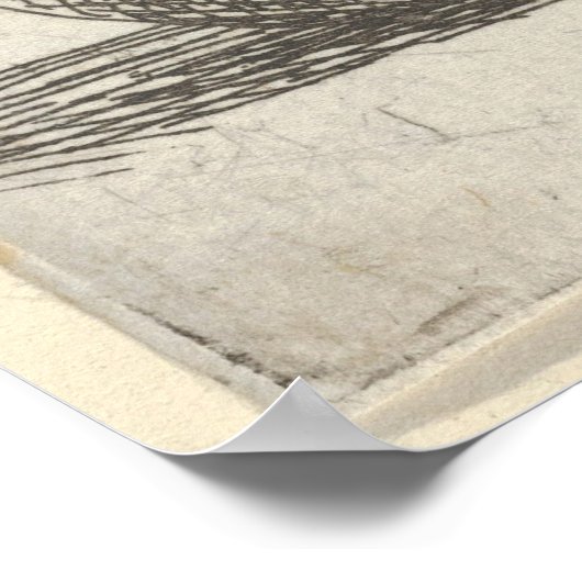 Drie Skulls Poster (Hoek)