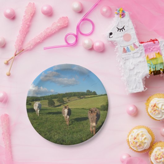 Drie sleutels in een veld papieren bordje (Feest)