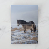 Drie Snowy Bachelors Wenskaart Bedankkaart (Binnen)