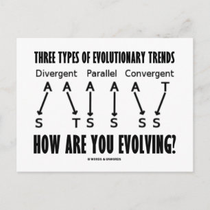 Drie soorten evolutionaire trends (evolutie) briefkaart