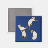 Drie speelse Siamese magneet (Voorkant / Achterkant)