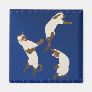 Drie speelse Siamese Magnet Magneet