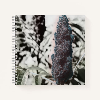 Drie spiraal notebook notitieboek