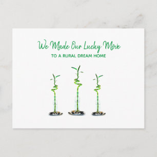 Drie spiraalvormige Lucky Bamboo We verhuisd aanko Briefkaart