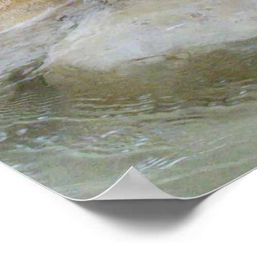 Drie Staande Otters, Poster (Hoek)