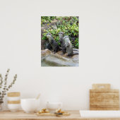 Drie Staande Otters, Poster (Keuken)