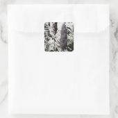 Drie stickers (Tas)